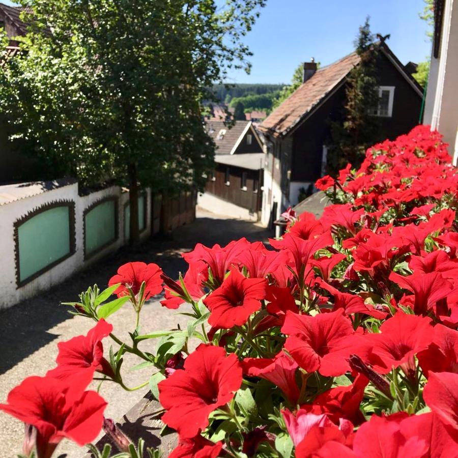 Hotel Recke Aparthotel Braunlage